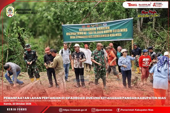 Pemanfaatan Lahan Pertanian di Sifaoroasi Dukung Ketahanan Pangan Kabupaten Nias